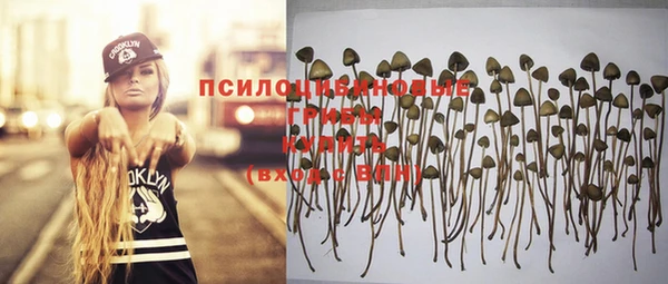 не бодяженный Армянск