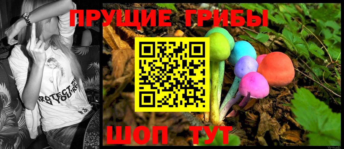 Псилоцибиновые грибы GOLDEN TEACHER  Вход с VPN  Елабуга 